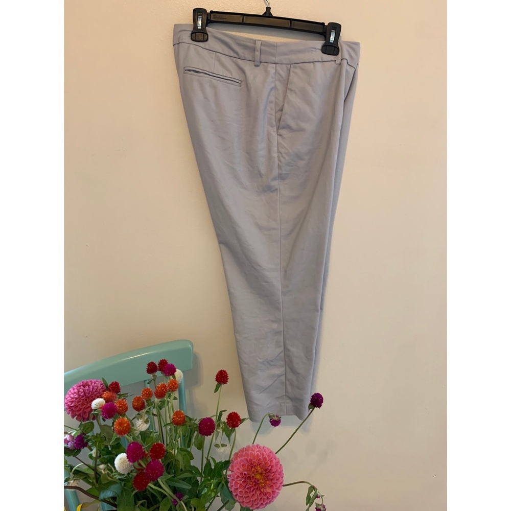 Light grey ankle length pants